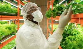 ISO 22000 Food Safety Management System (FSMS)